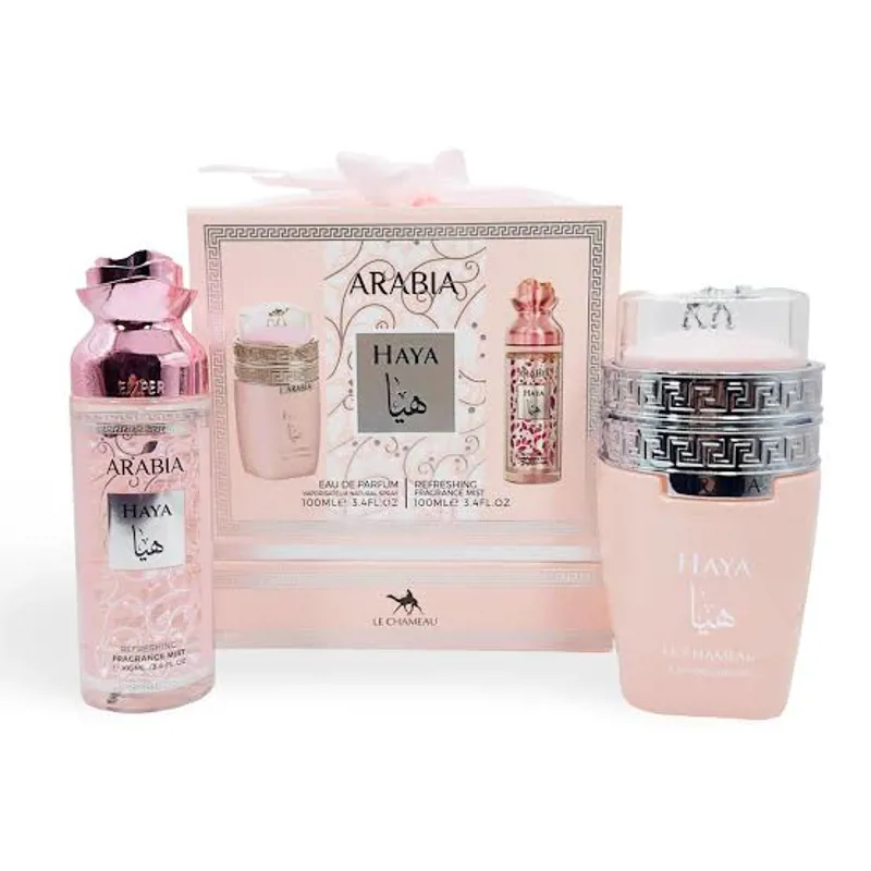 ARABIA HAYA LE CHAMEAU